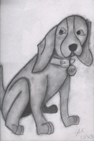 Rex 